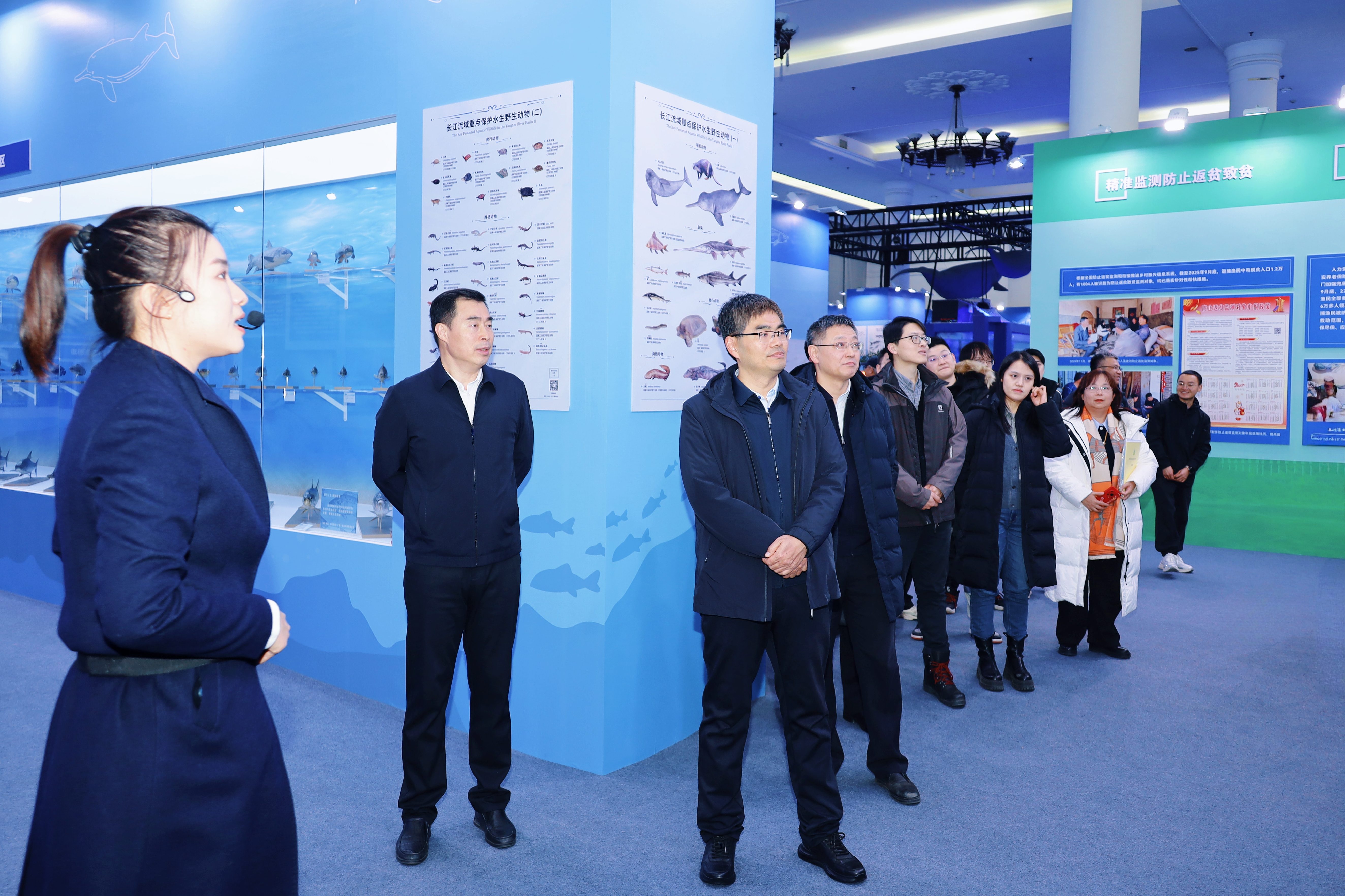 1767926376017027096.jpg 1767926376017027096.jpg